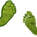 SHI latest IT solution provider giant to join net zero race