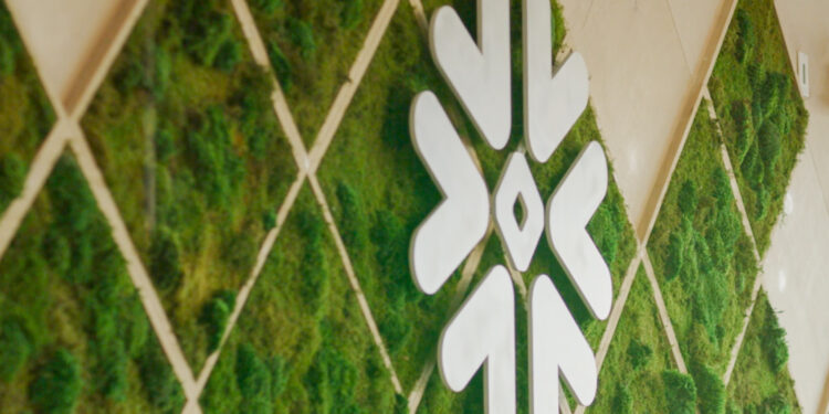 Snowflake crowns channel Prince