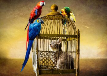 Why the ‘tables are turning’ on cloud hyperscalers