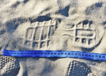 Deloitte and IBM link arms ‘to help organisations accelerate sustainable transformation’