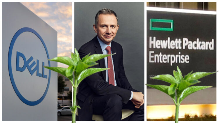 Whose green shoots are sprouting highest: Dell, HPE or HP Inc?