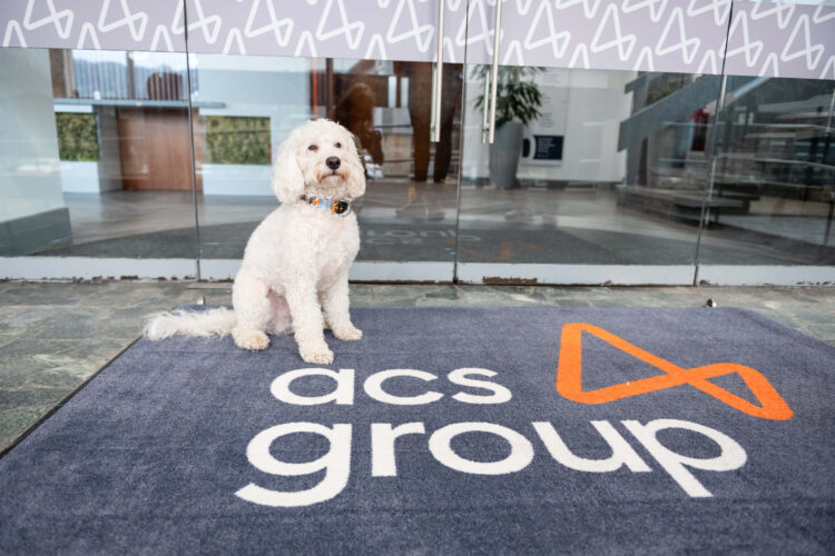 Frosty, Barketing Manager at ACS Group