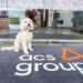 Frosty, Barketing Manager at ACS Group