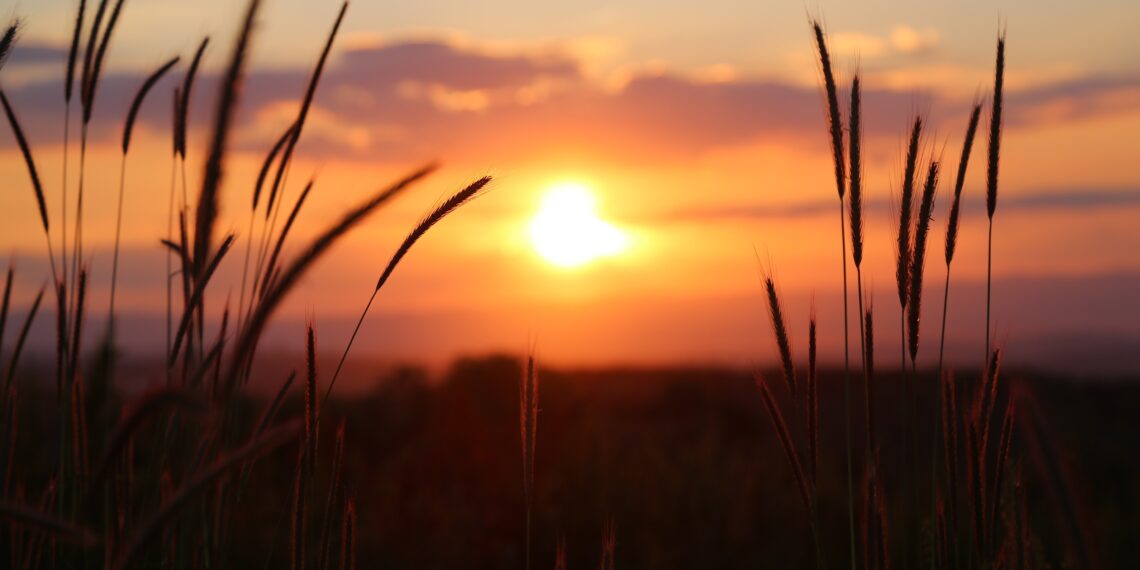 Cyber retains golden status as channel pockets 92% of sales