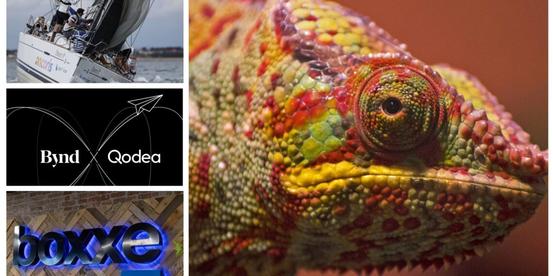 Top 9 UK channel partner name changes of the 2020s