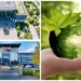 Tender agenda? Why Ecovadis is gathering steam among VARs