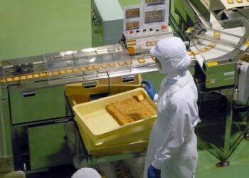 Nebula Global Services takes bite of food manufacturer support deal
